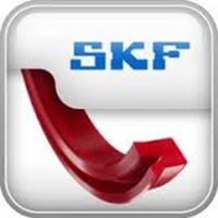 GAXETA PARA HASTE SKF