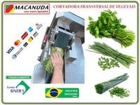 MÁQUINA PROFISSIONAL MACANUDA PARA CORTAR TEMPERO VERDE