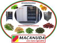 SECAGEM DE ERVAS FITOTERÁPICAS EQUIPAMENTOS INDUSTRIAIS MACANUDA