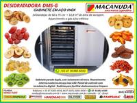 ABACAXI DESIDRATADO, EQUIPAMENTOS INDUSTRIAIS AÇO INOX MACANUDA