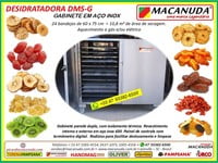 MÁQUINA INDUSTRIAL GABINETE INOX PARA DESIDRATAR FRUTAS