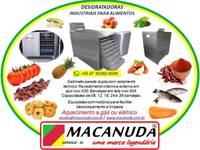 DESIDRATADORA INDUSTRIAL DE ALIMENTOS GABINETE PAREDE DUPLA - MACANUDA