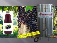 PANELA SUQUEIRA MACANUDA PARA JABUTICABA, DIVERSAS CAPACIDADES