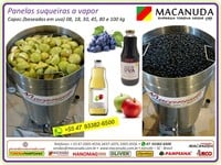 PANELA A VAPOR PRA FAZER SUCO 80 KG DE UVA MACANUDA