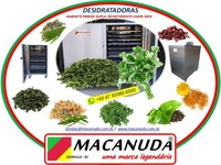 MÁQUINA PROFISSIONAL INOX DE DESIDRATAR TEMPERO VERDE