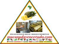 MACANUDA, A MARCA DA MÁQUINA! DESCASCADORA DE ABACAXI EM BRASNORTE MT
