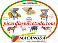 MÁQUINA MACANUDA !! AMACHACADORA DE AVEIA VENDAS EM DOM PEDRITO RS