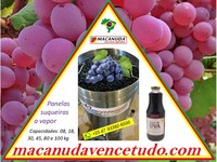 MARCA MACANUDA, FABRICAÇÃO DE EXTRATORAS A VAPOR PARA SUCO DE UVA