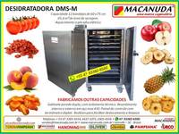 EQUIPAMENTO INDUSTRIAL PARA DESIDRATAR TOMATE