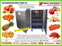 DESIDRATAR PÊSSEGO, EQUIPAMENTOS INDUSTRIAIS AÇO INOX MACANUDA DESIDRATAR PÊSSEGO, EQUIPAMENTOS INDUSTRIAIS AÇO INOX MACANUDA