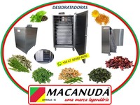 DESIDRATAR ERVAS MEDICINAIS, DESIDRATADORAS MACANUDA NO PARANÁ DESIDRATAR ERVAS MEDICINAIS, DESIDRATADORAS MACANUDA NO PARANÁ