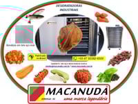 ORELHA DE PORCO DESIDRATADA, EQUIPAMENTOS INDUSTRIAIS MACANUDA ORELHA DE PORCO DESIDRATADA, EQUIPAMENTOS INDUSTRIAIS MACANUDA