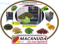 MANJERICÃO DESIDRATADO, MÁQUINAS PROFISSIONAIS MACANUDA MANJERICÃO DESIDRATADO, MÁQUINAS PROFISSIONAIS MACANUDA