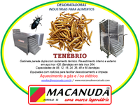 TENÉBRIO DESIDRATADO, MÁQUINAS INDUSTRIAIS DESIDRATADORAS MACANUDA TENÉBRIO DESIDRATADO, MÁQUINAS INDUSTRIAIS DESIDRATADORAS MACANUDA
