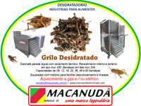 GRILO DESIDRATADO, EQUIPAMENTOS INDUSTRIAIS MACANUDA GRILO DESIDRATADO, EQUIPAMENTOS INDUSTRIAIS MACANUDA