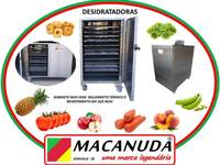 DESIDRATADOR PROFISSIONAL DE ALIMENTOS VENDAS EM GOIÁS