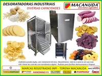 EQUIPAMENTO INDUSTRIAL PARA DESIDRATAR BATATAS - FABRICAÇÃO MACANUDA